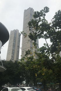 世茂茶亭臻園綜合評析：優點、不足及周邊中介評價